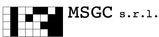 MSGC Assistenza